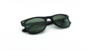 Sunglass D1001 with B2 GREY Mineral Lens