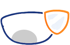 Bifocal Standard